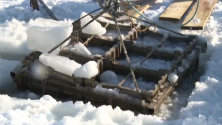 Beachfront Real Estate: Oysters Help Restore California Coastline